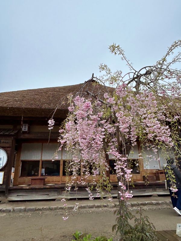 日本・東京都「GW初めての東北」の写真：大内宿
