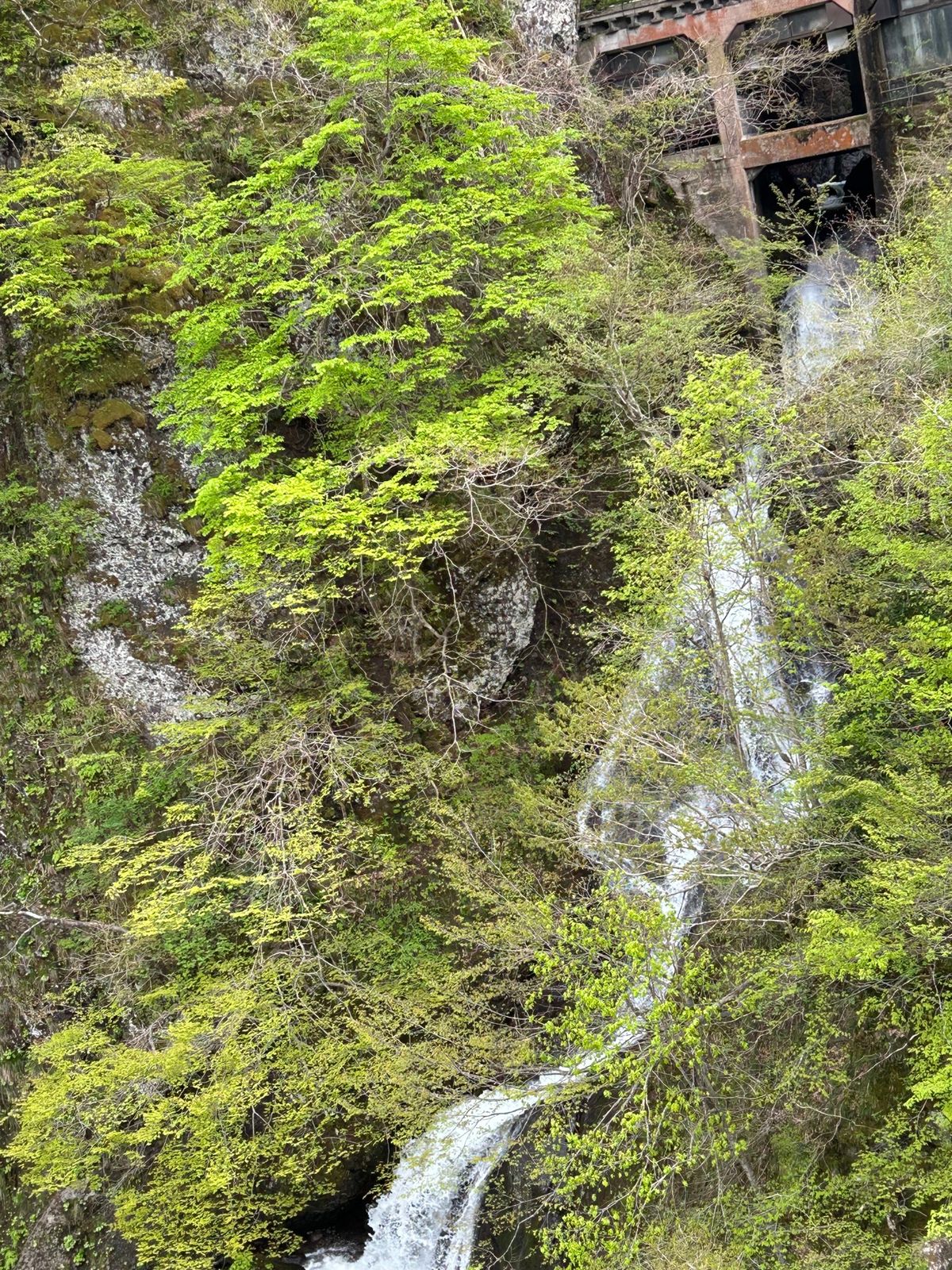 蔵王山頂が寒かったので予定変更で道の駅月山へ