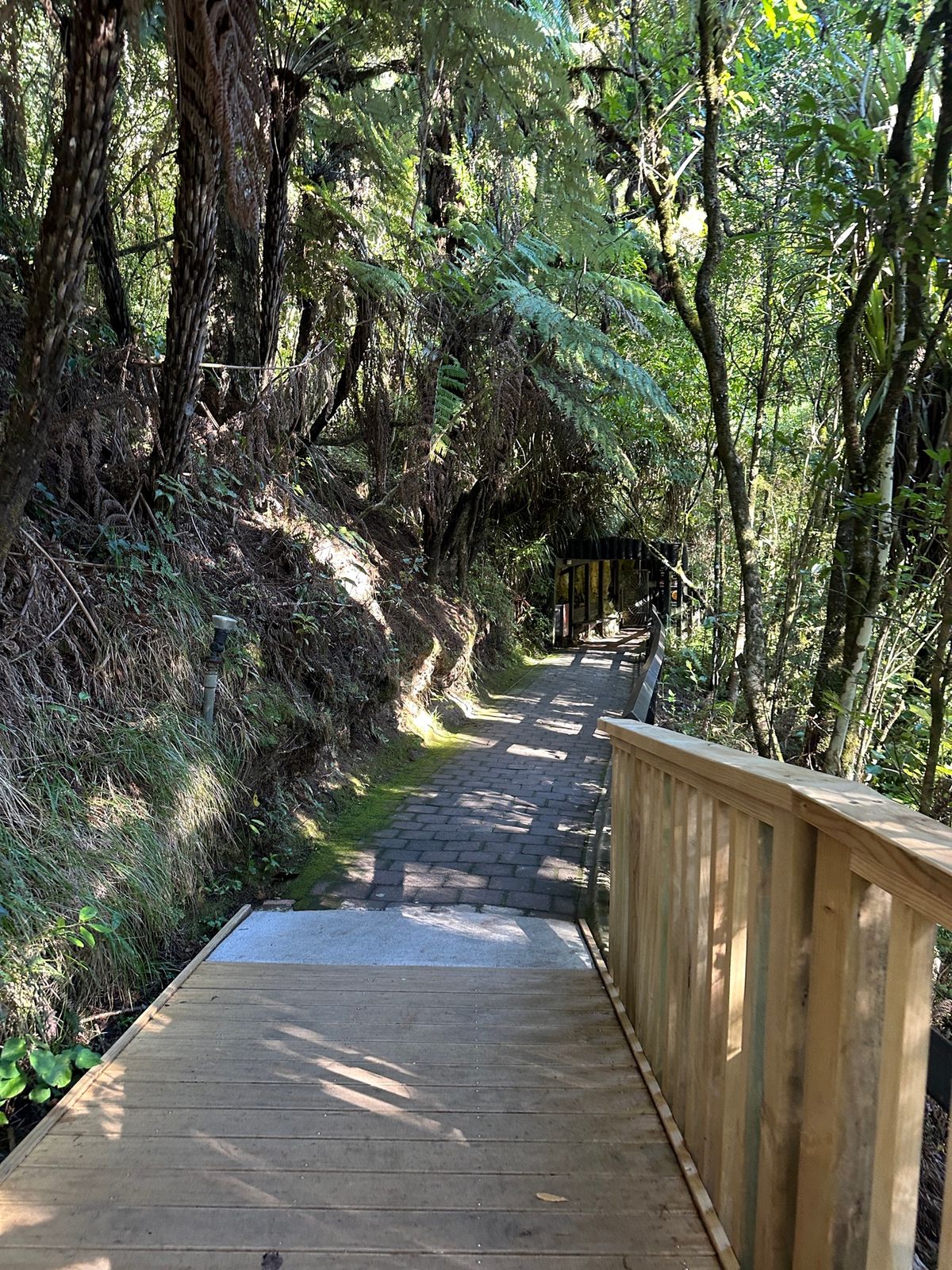 ワイトモ到着。
オークランドから200km。
土ホタルを見に来た。