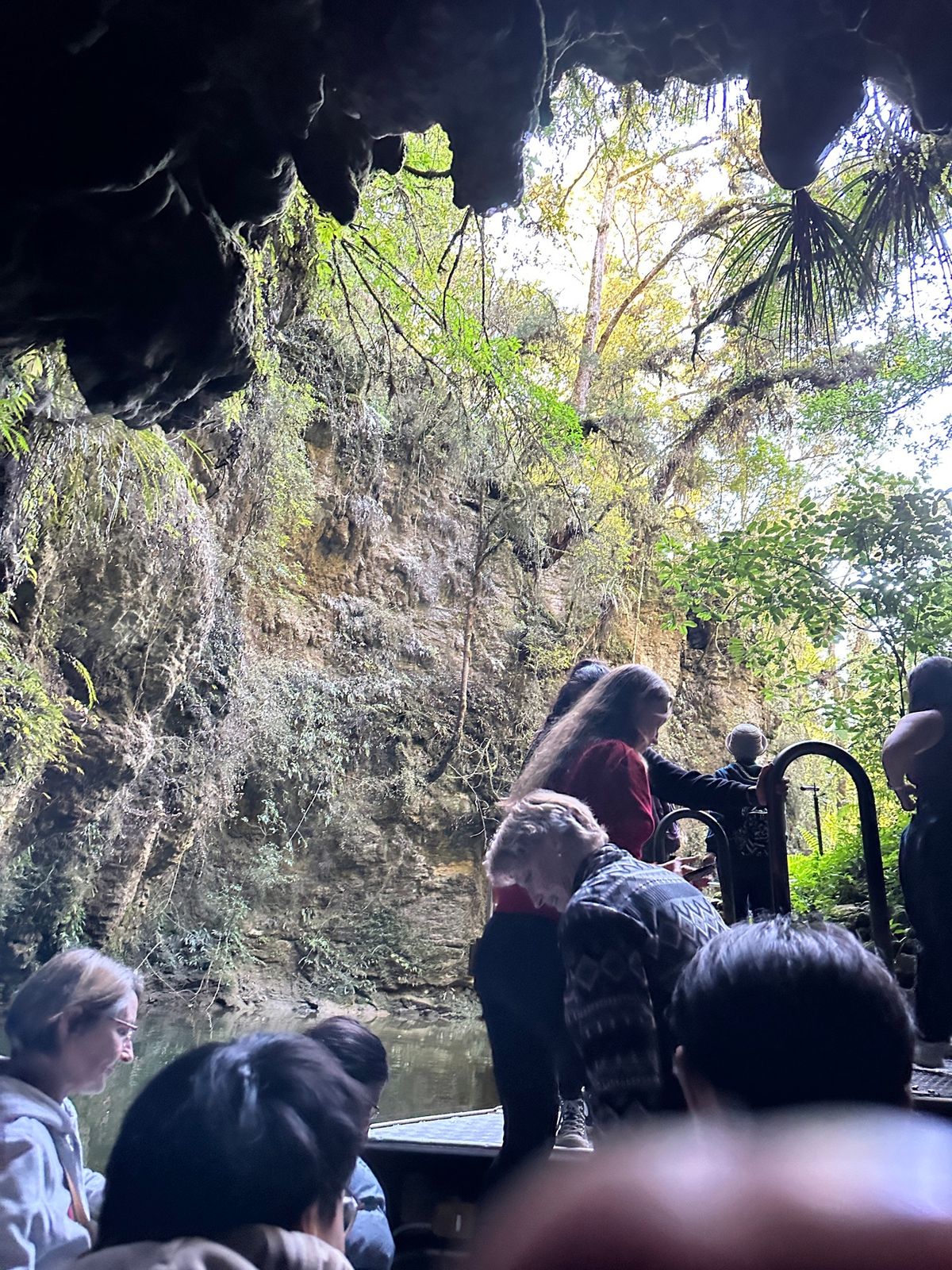 土ホタル。

土ボタル(グロウワーム)とはオーストラリアとニュージランドに...