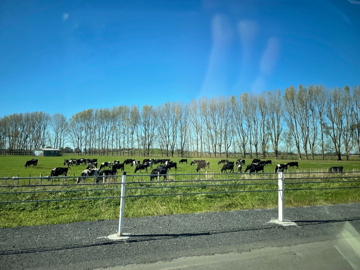 ワイトモケーブスへ向かう