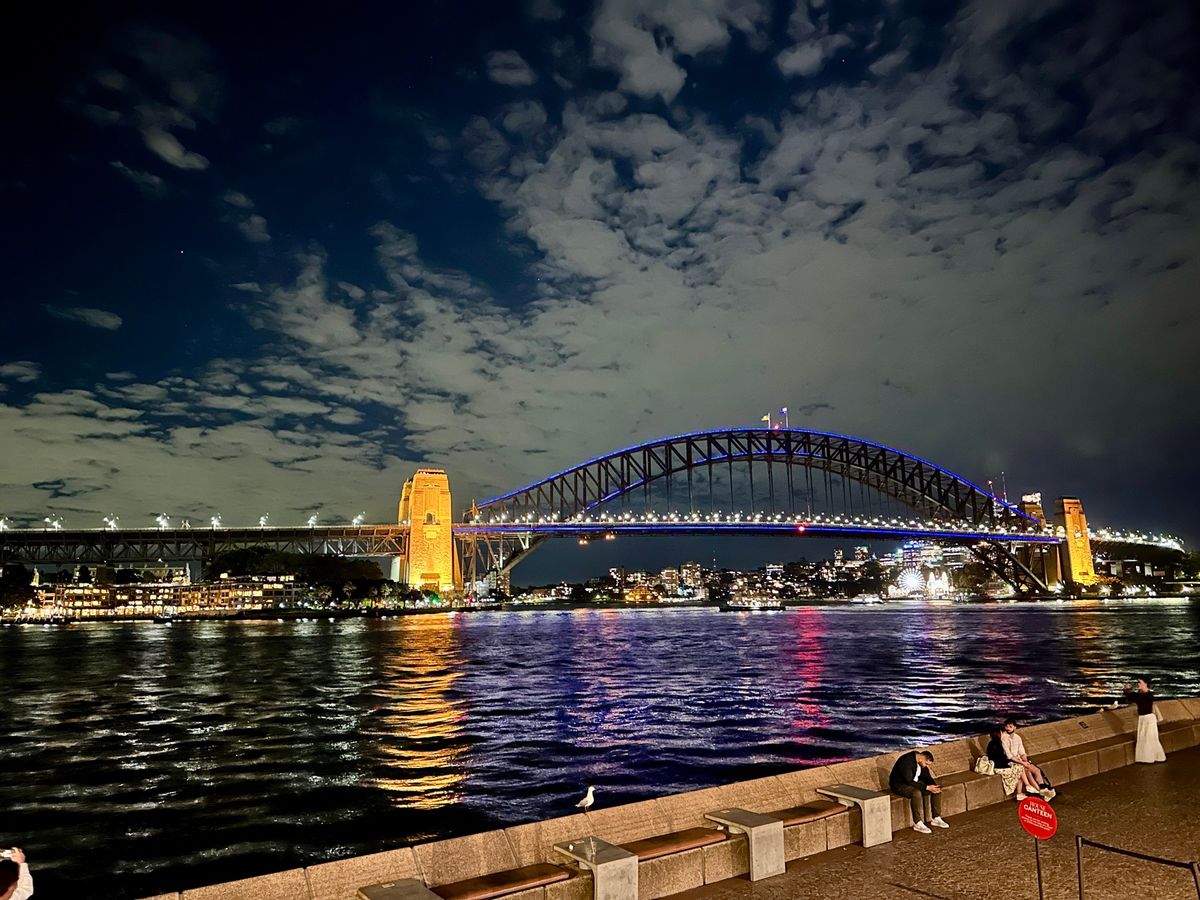 オペラハウス、サーキュラーキー、ハーバーブリッジは夜が断然お勧めです。