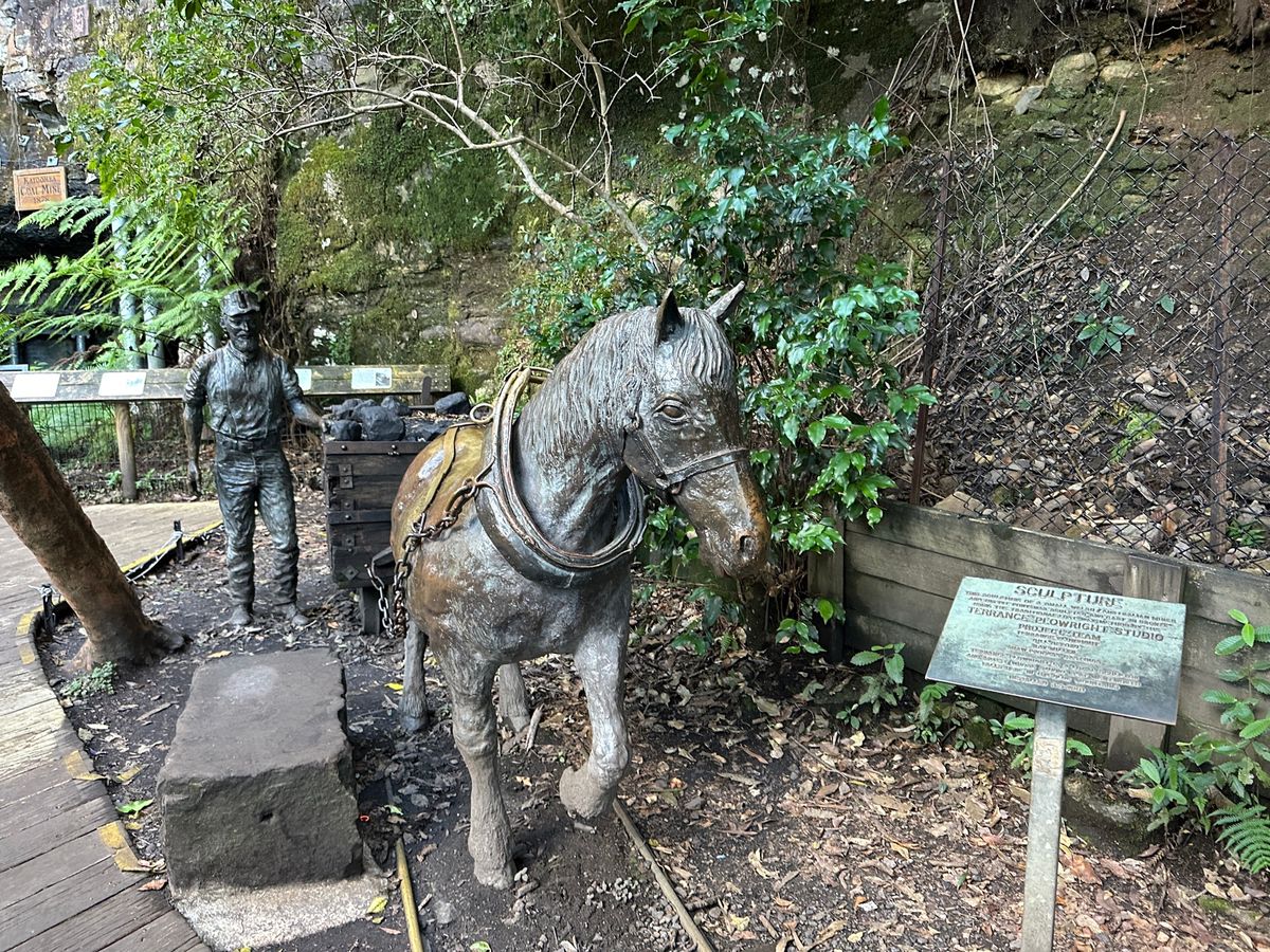 Scenic walkwayは整備されてて、歩きやすかった。

途中、妻が...