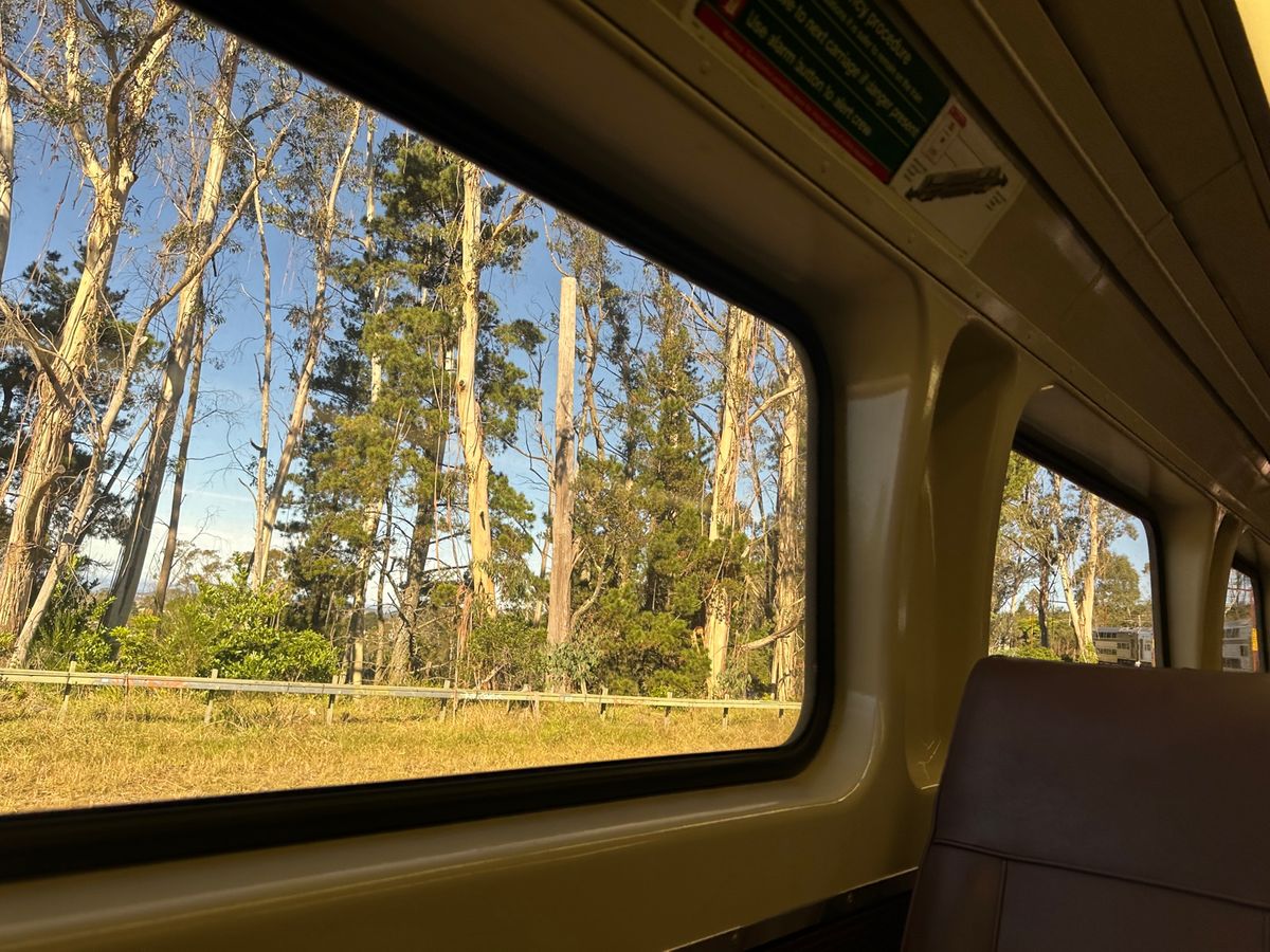 CentralからKatoombaへ。
世界遺産Blue Mountain...