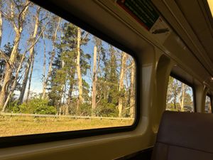 CentralからKatoombaへ。
世界遺産Blue Mountain...