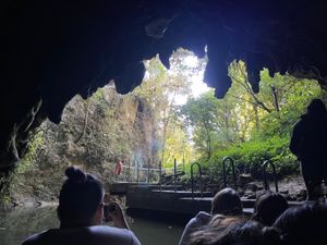 土ホタル。

土ボタル(グロウワーム)とはオーストラリアとニュージランドに...