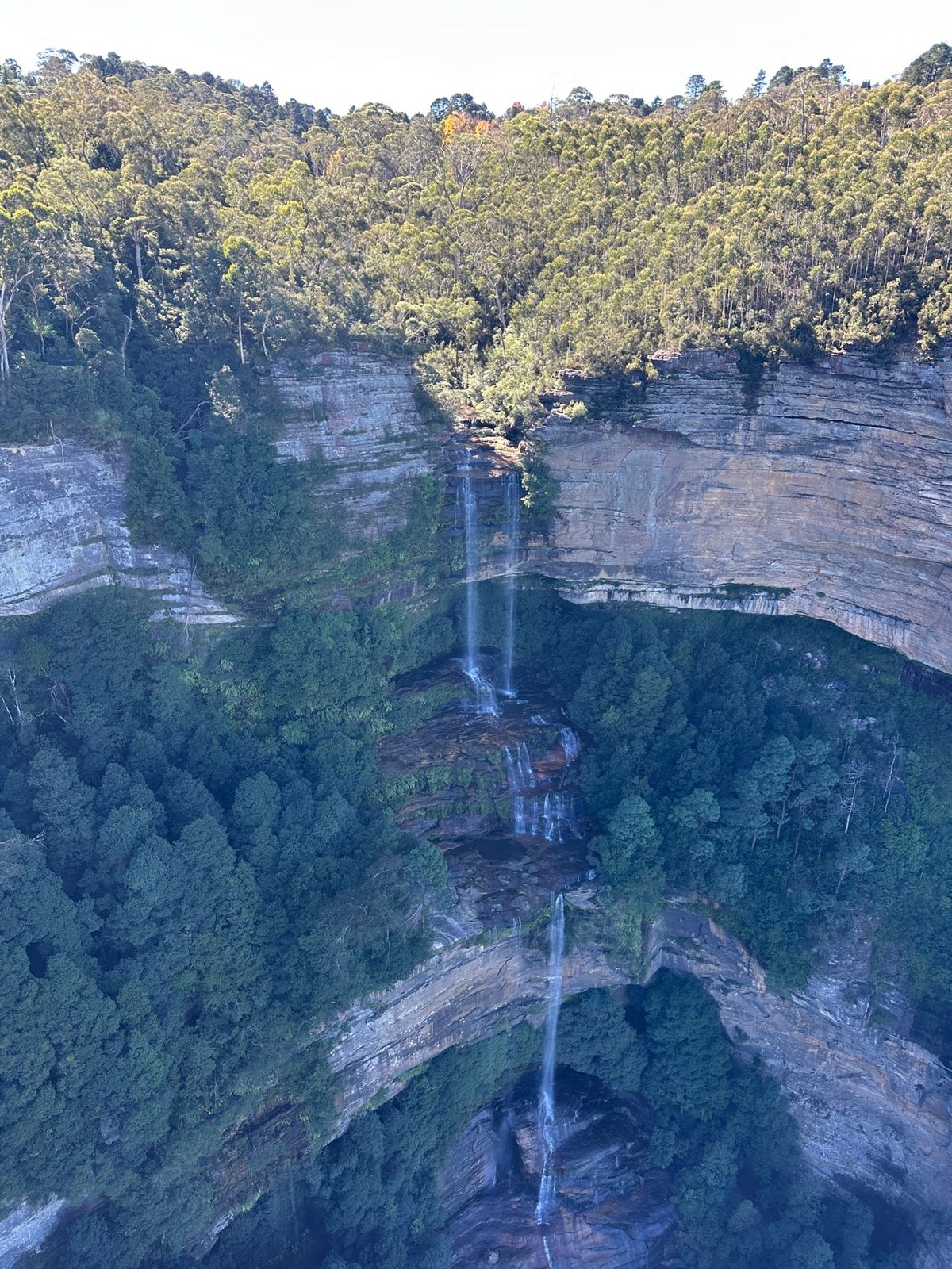 世界遺産Blue Mountains

日本とは逆の季節なので紅葉が綺麗。...