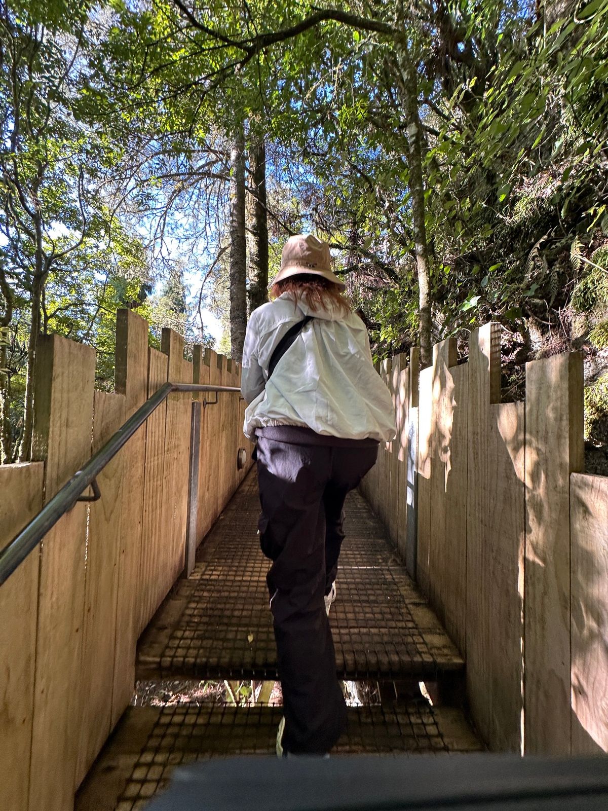 NZLは食べ物に非常に困るので、基本は自炊ですが、Waitomo Cave...