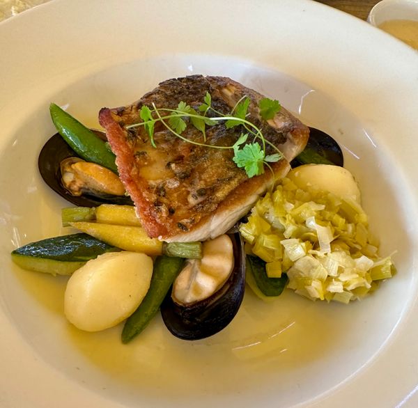 香港・赤鱲角國際機場、Chek Lap Kok International Airport「NRT ✈︎ HKG ✈︎ ACL ✈︎ SYD ✈︎ HND」の写真：長くなります。

日本にもアカメと言う似...