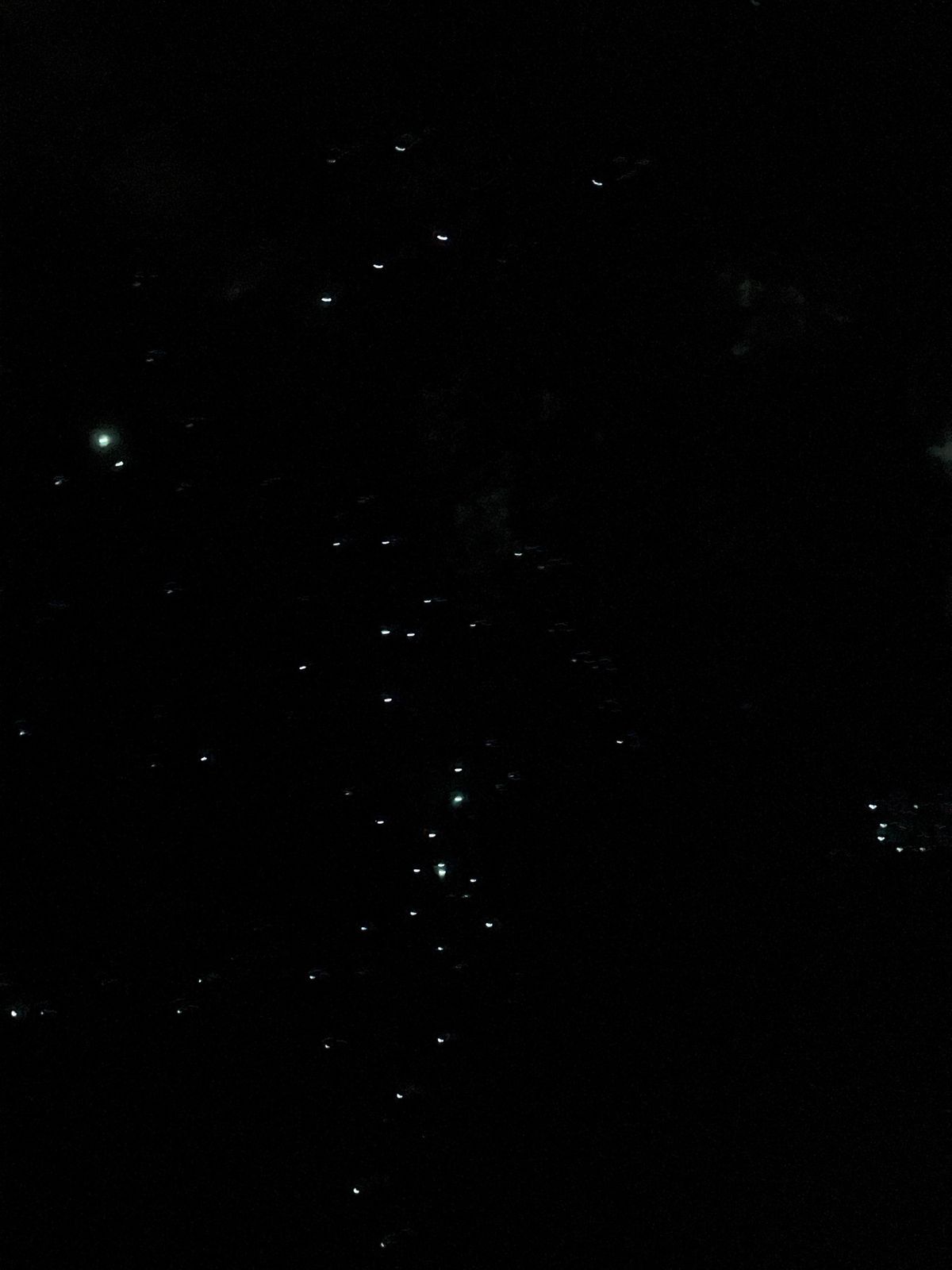 土ホタル。

土ボタル(グロウワーム)とはオーストラリアとニュージランドに...