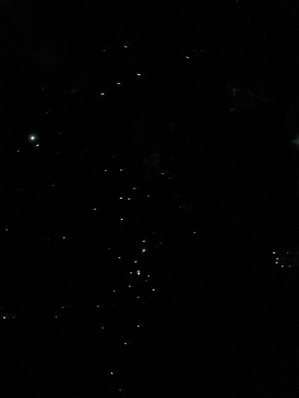 香港・赤鱲角國際機場、Chek Lap Kok International Airport「NRT ✈︎ HKG ✈︎ ACL ✈︎ SYD ✈︎ HND」の写真：土ホタル。

土ボタル(グロウワーム)と...