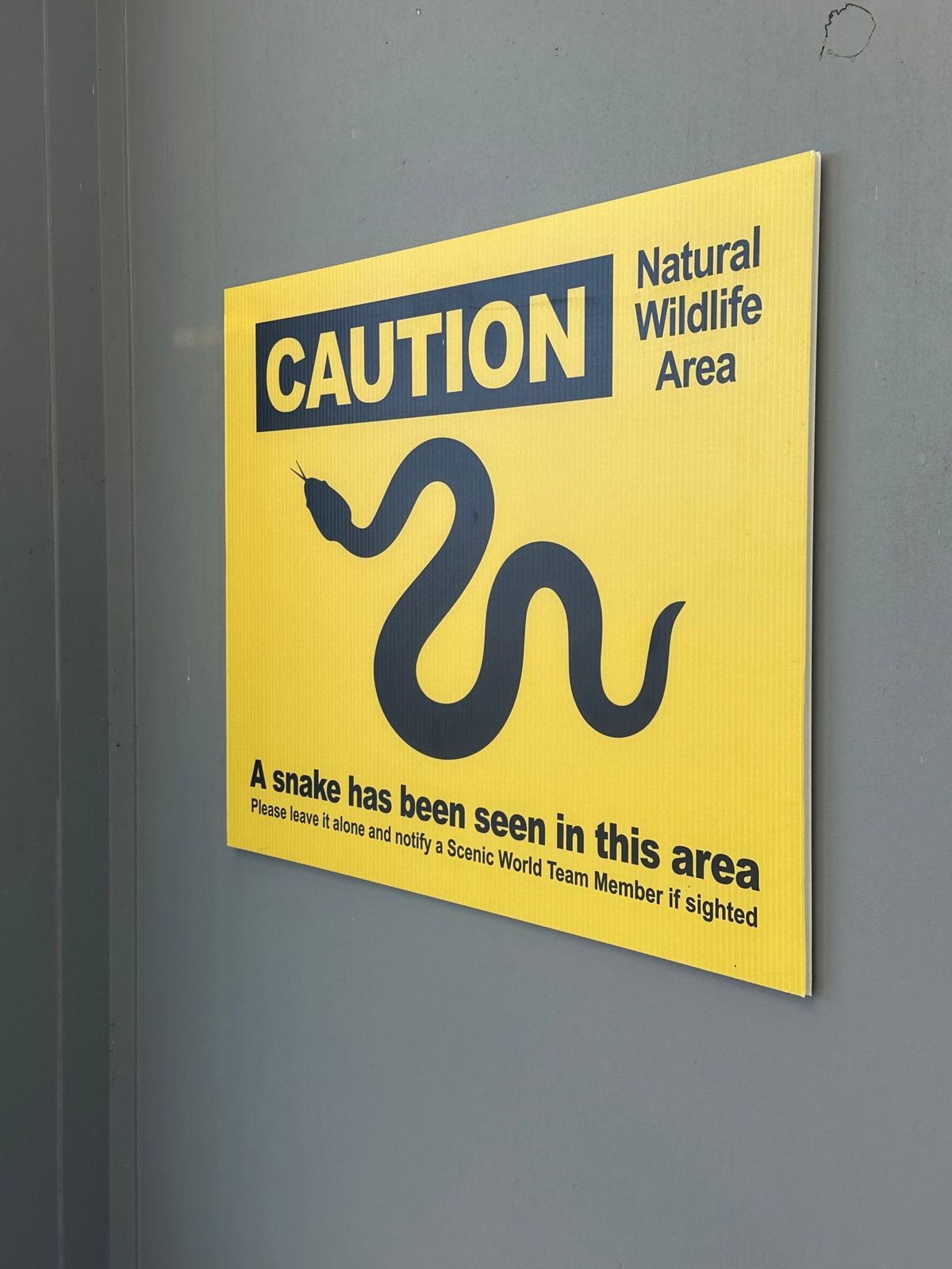 世界遺産Blue Mountains

日本とは逆の季節なので紅葉が綺麗。...