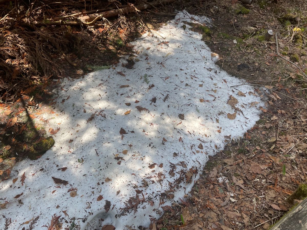 湯ノ湖では釣り解禁日でした。たくさんの釣り人がいました。