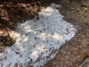 湯ノ湖では釣り解禁日でした。たくさんの釣り人がいました。