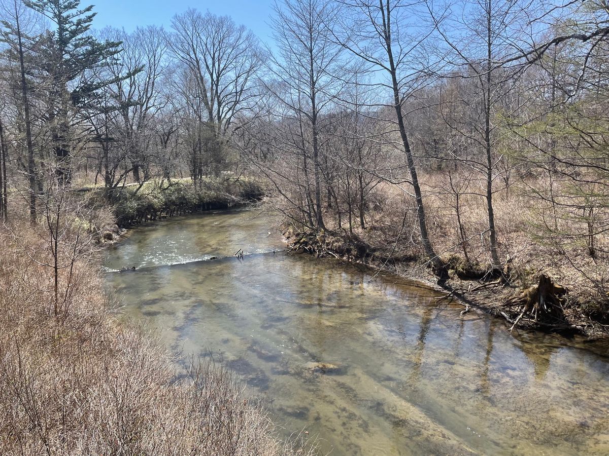 雄大な男体山を眺めながら歩くコース。木道の遊歩道なので、ハイカーだけでなく...