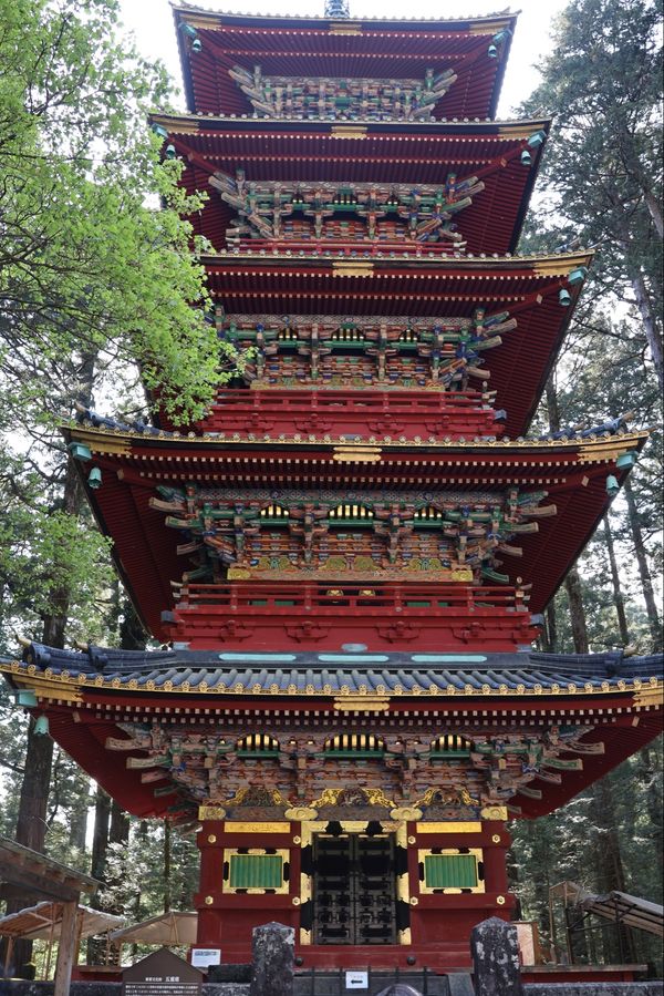 日本「奥日光バードウォッチング＆宇都宮餃子の旅」の写真：日光東照宮。参拝しようと思いましたが、チケッ...