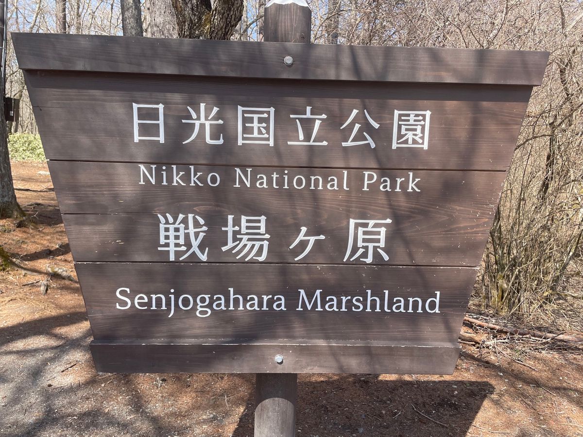 今回は奥日光。戦場ヶ原から湯ノ湖へと向かうハイキングコースを歩きました。