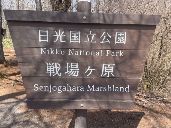 日本「奥日光バードウォッチング＆宇都宮餃子の旅」の写真：今回は奥日光。戦場ヶ原から湯ノ湖へと向かうハ...