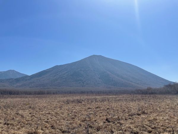 日本「奥日光バードウォッチング＆宇都宮餃子の旅」の写真：雄大な男体山を眺めながら歩くコース。木道の遊...
