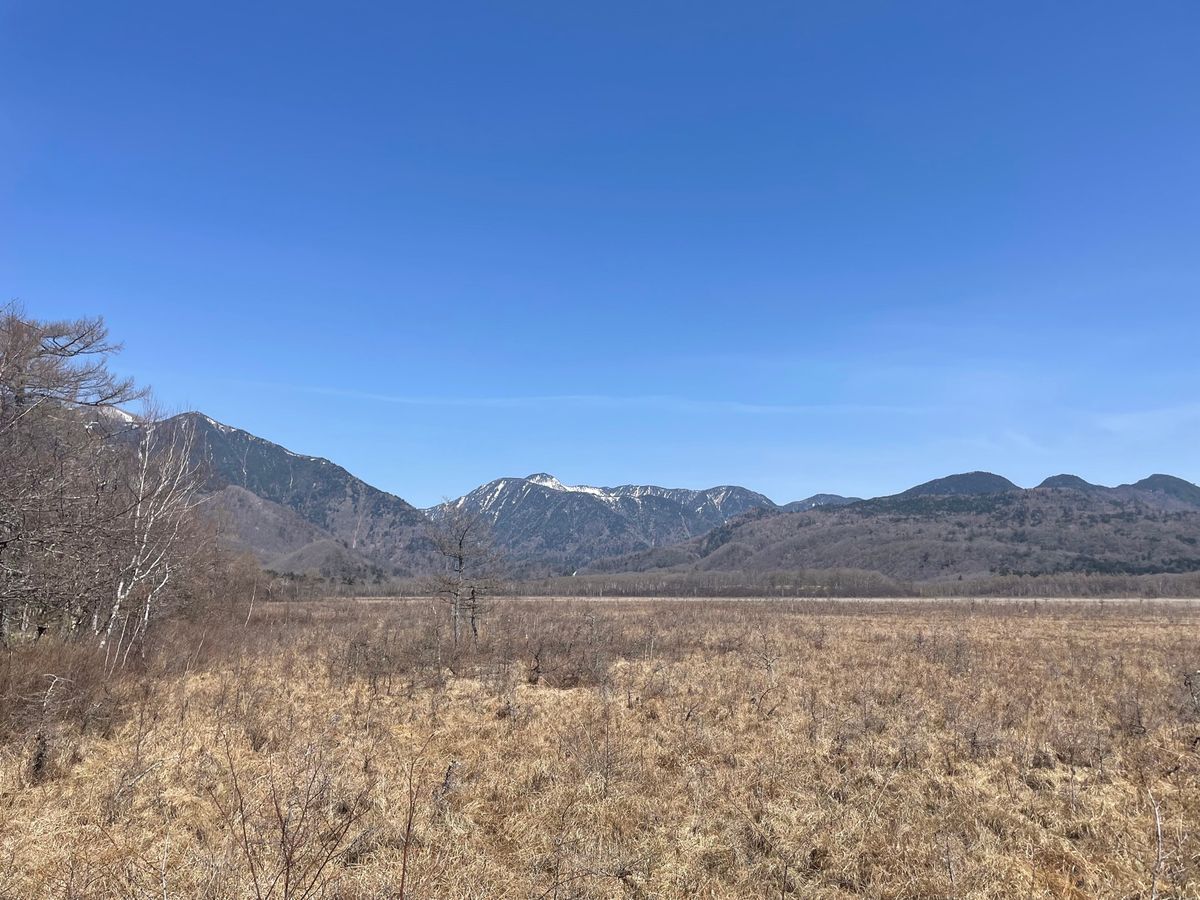 雄大な男体山を眺めながら歩くコース。木道の遊歩道なので、ハイカーだけでなく...