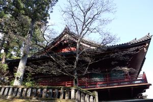 日光湯元温泉からバスで日光駅に向かいます。途中下車して日光山輪王寺へ。