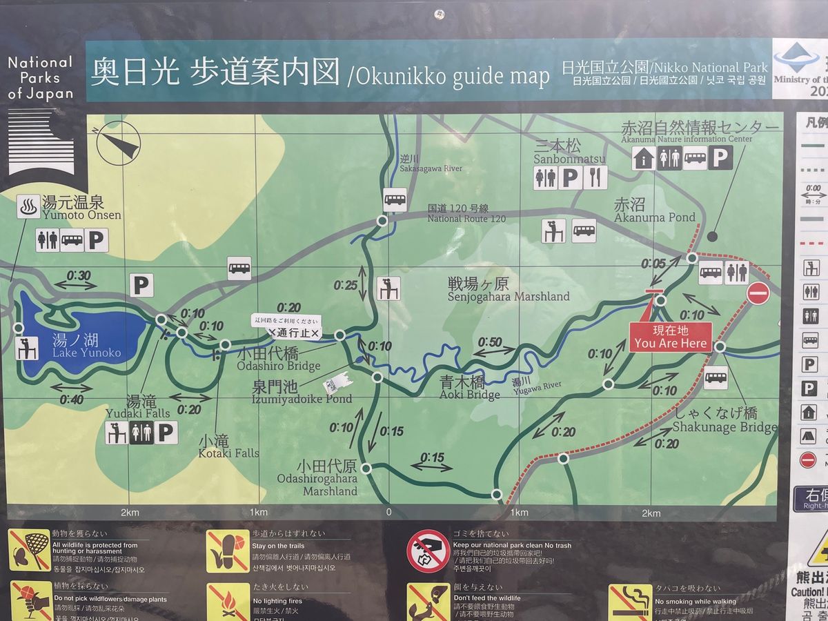 今回は奥日光。戦場ヶ原から湯ノ湖へと向かうハイキングコースを歩きました。