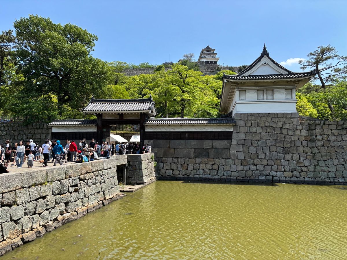一鶴本店
めちゃくちゃ美味くて　おや　追加