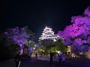 ライトアップ