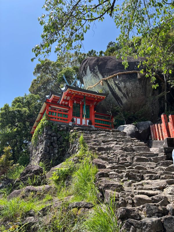 日本・和歌山県「熊野神社巡り家族旅行」の写真：LBX運転緊張した