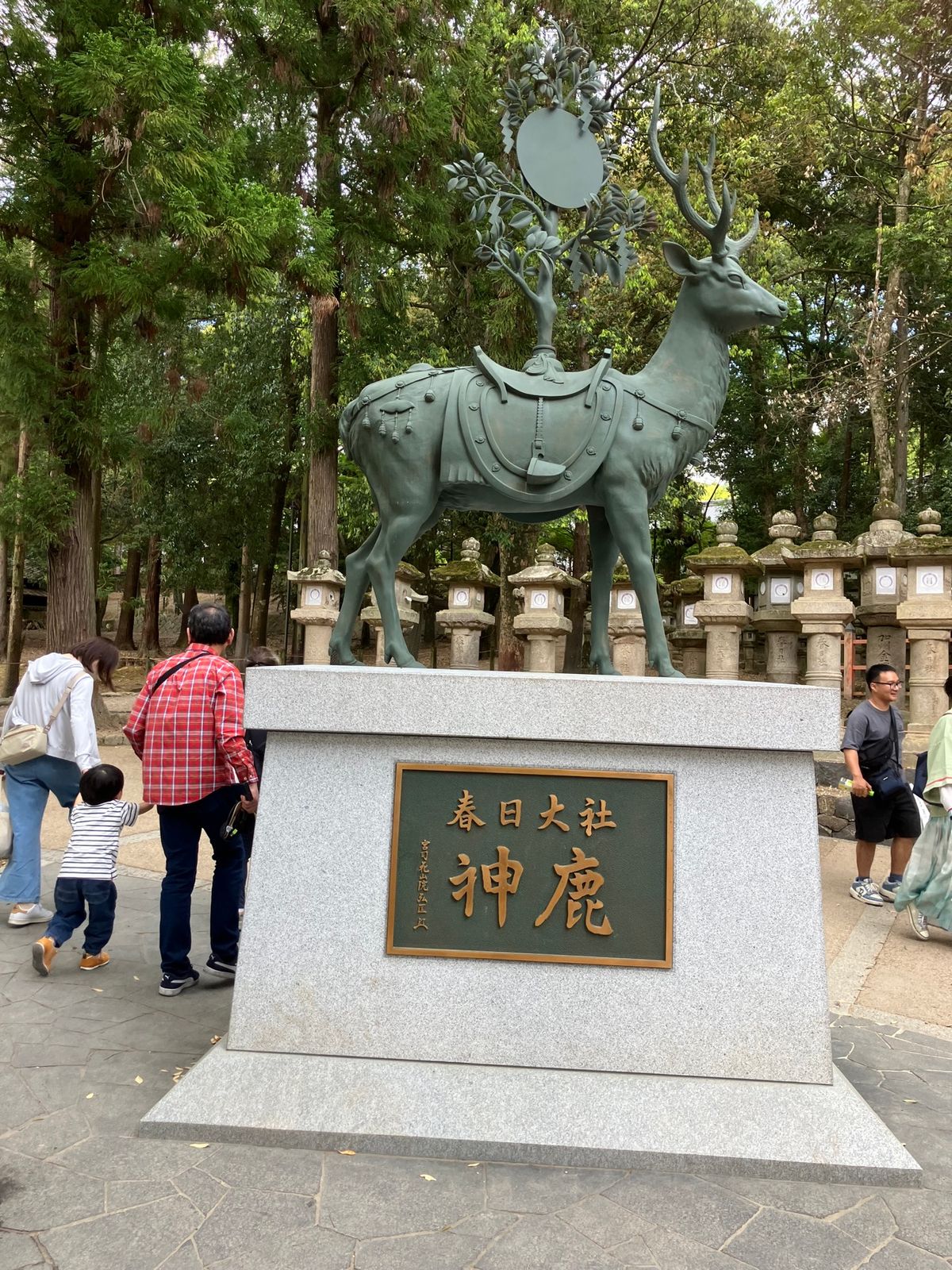 三輪そうめんvs天理スタミナラーメン
→どっちも美味
ps奈良の鹿は人慣れしてる