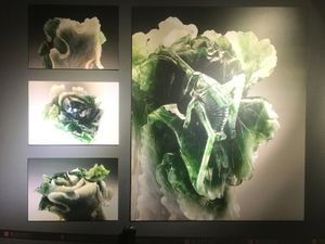 故宮博物館②
有名なやつばかり