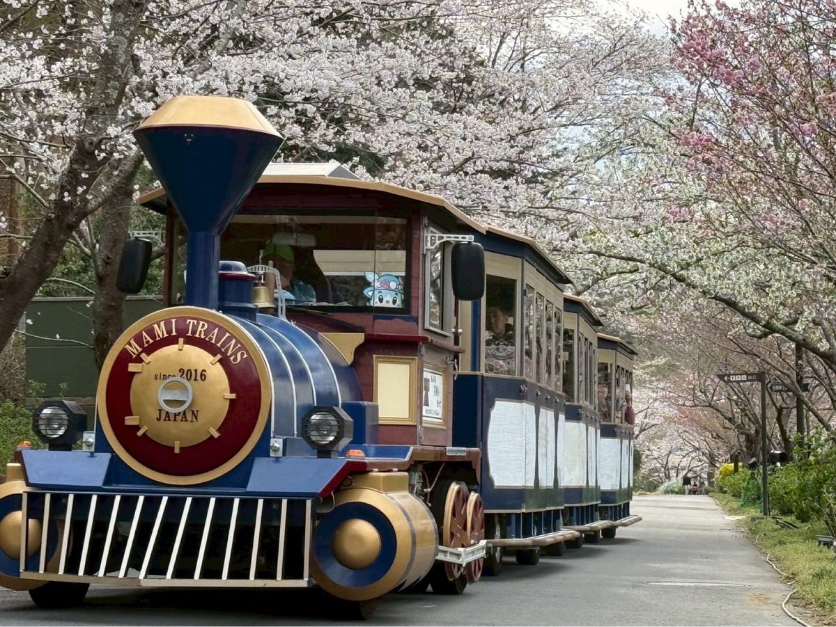 フラワーパーク（写真撮ってるところを後ろから脇狙ってちょっと喧嘩になった）...