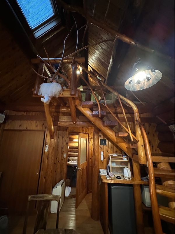 日本・神奈川県「箱根旅行」の写真：泊まったところがツリーハウスみたいでよか...