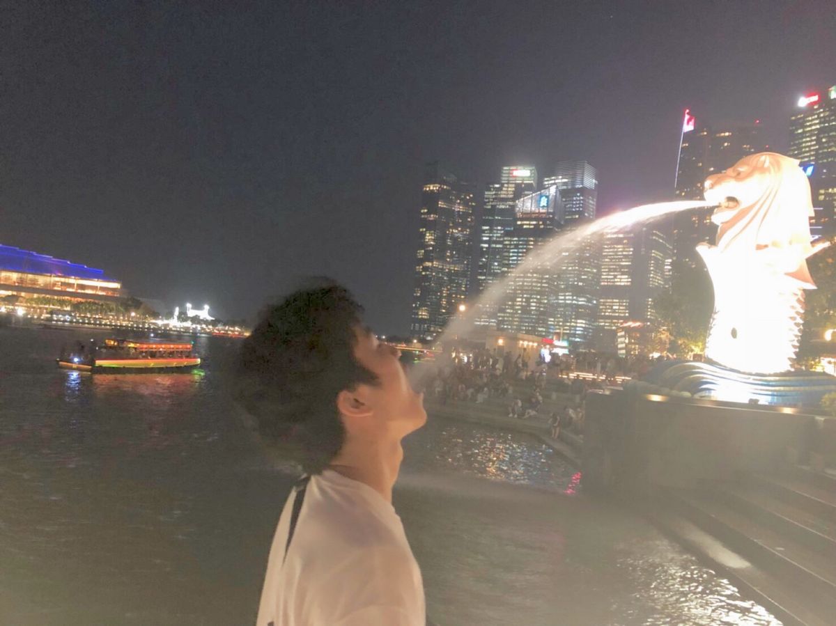 定番のマーライオン
夜景やっぱきれい
