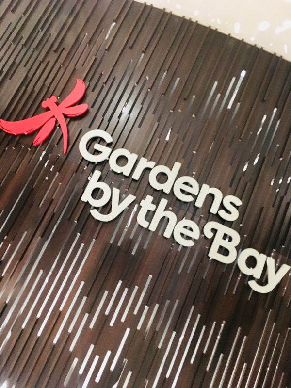 シンガポール・セントーサ島「松本といつもの海外旅」の写真：ガーデンズバイザベイのライトショー
寝転...