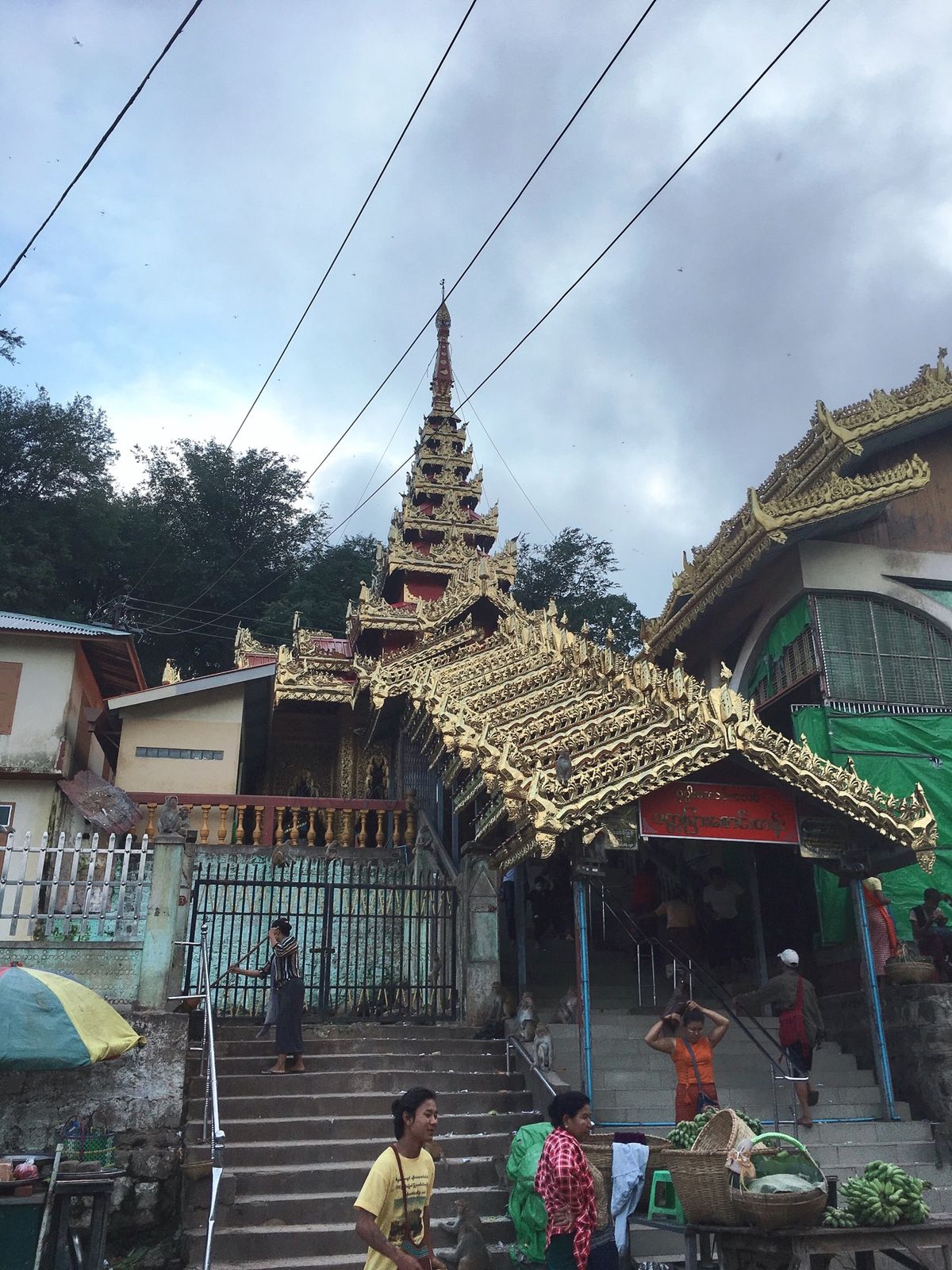 ポッパ山へ
めちゃくちゃ猿いる！
てっぺんからは絶景
