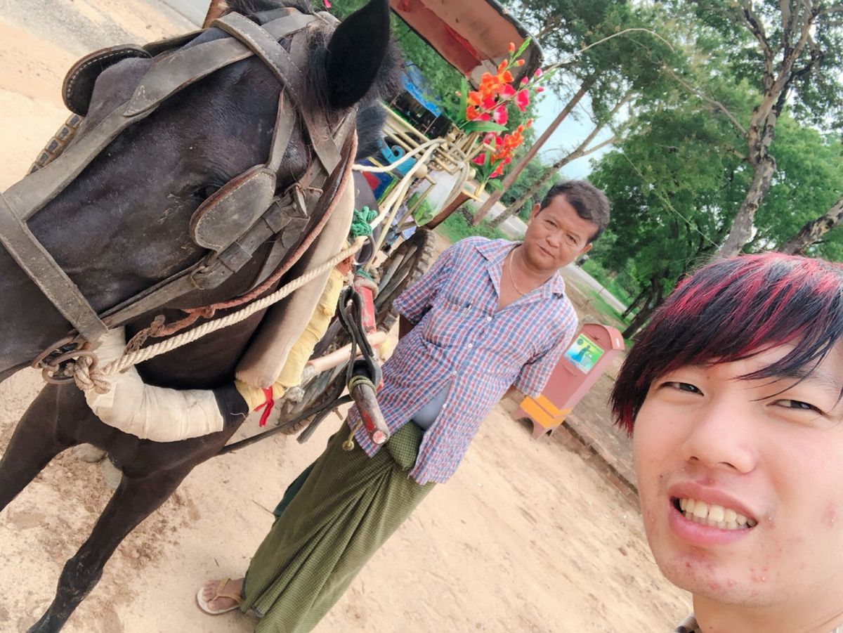 エーヤワディー川クルーズの後に何個か仏塔へ
パガンって同じような仏塔ばっか...