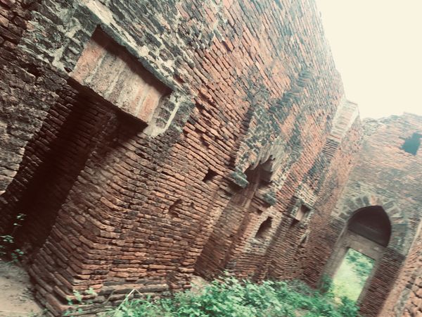 ミャンマー・ヤンゴン「松本といつもの海外旅」の写真：パガン③
寂れたかんじの遺跡
登っちゃい...