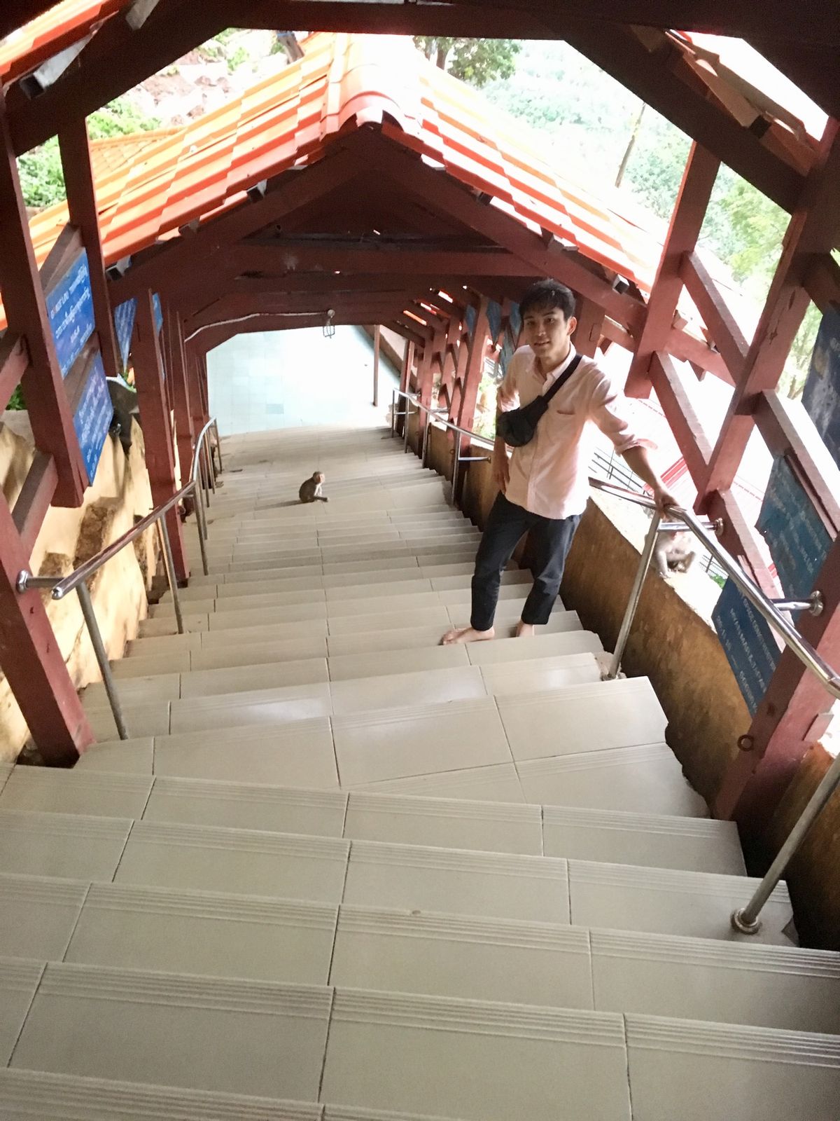 ポッパ山へ
めちゃくちゃ猿いる！
てっぺんからは絶景