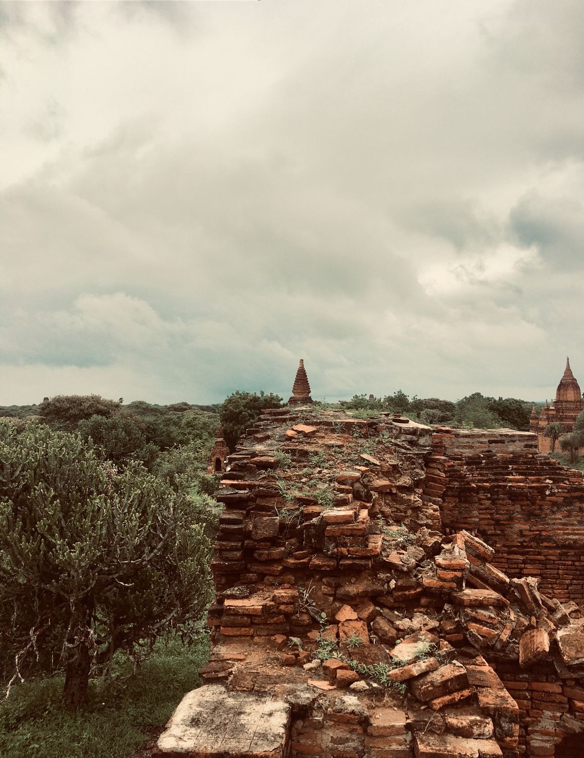 パガン③
寂れたかんじの遺跡
登っちゃいけないとこらしくておじちゃんに怒ら...