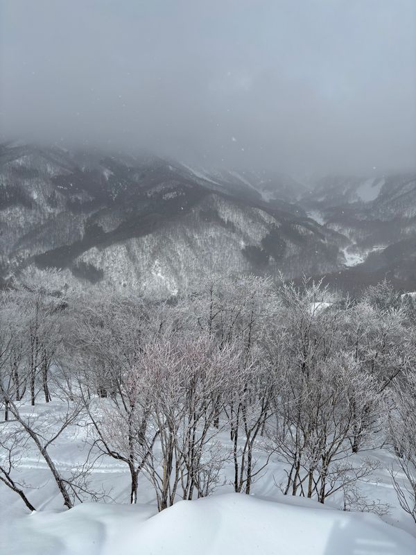 日本・長野県「新潟　長野」の写真