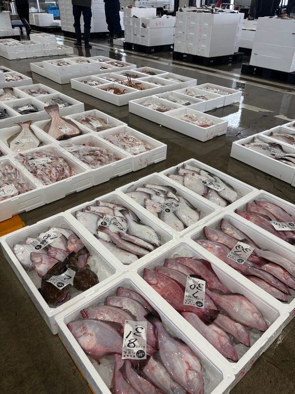 日本・長野県「新潟　長野」の写真：🐟