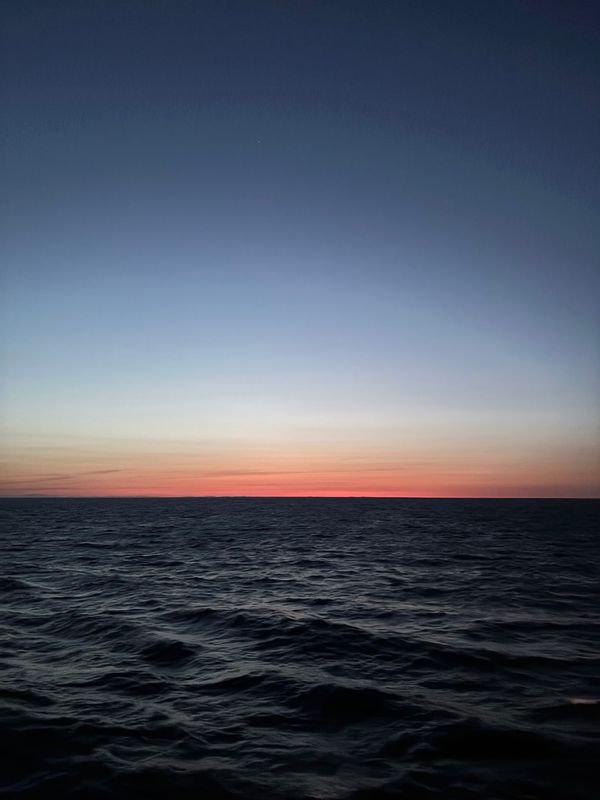 日本「クルーズ」の写真