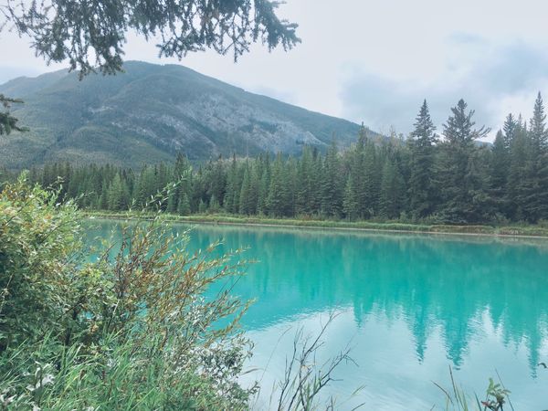 カナダ・バンフ「武田のもとへ1人旅」の写真：カルガリーからバンフへ！
山の中に表れる...