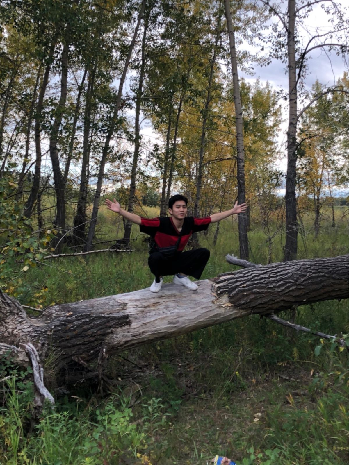 途中で寄った公園。さすがカナダって感じの自然公園でかなり広い！！
野生の鹿...