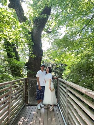 行きに熱海にある神社に
自然豊かでよかった
