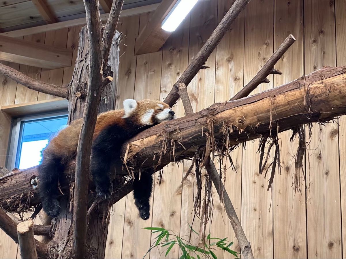 泊まったコテージのすぐ近くにある岬と動物園