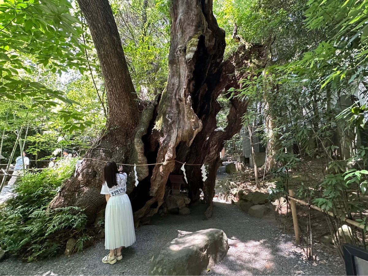 行きに熱海にある神社に
自然豊かでよかった