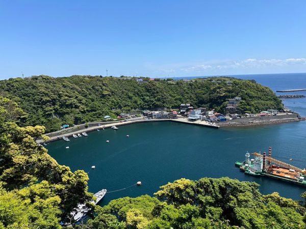 日本・伊豆大島「伊豆大島よしくん初の誕生日お祝い旅行」の写真：広くて綺麗だった、壮大