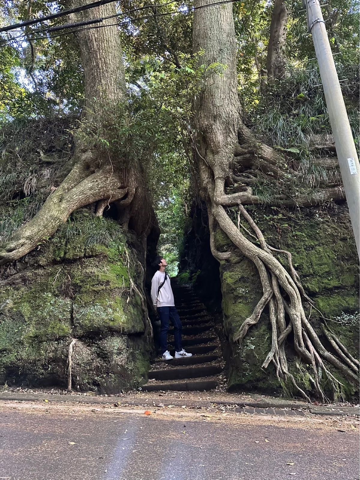 原付かりて島を周遊